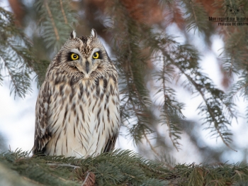 02I0386-Modifier-copie