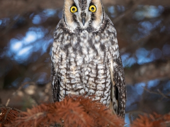 02I0457-Panorama-Modifier-copie