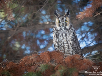 02I0814-Modifier-copie