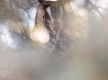 02I2111-Modifier-copie