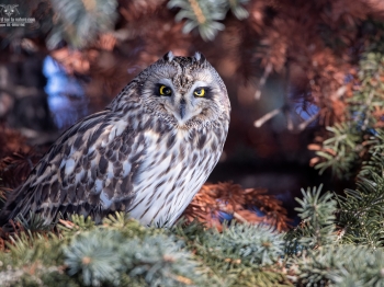 02I9684-Modifier-copie