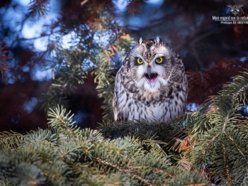 02I9868-Modifier-copie