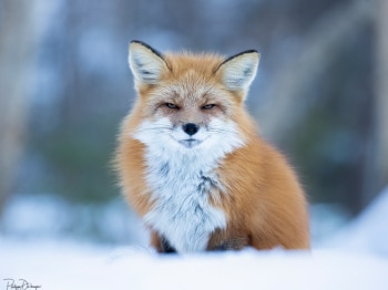 01-Janvier_02I9522-copie-2