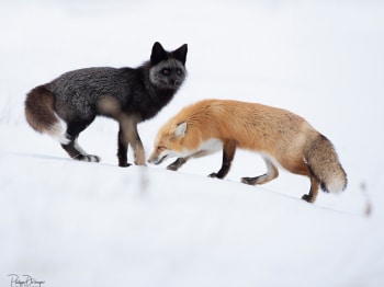 02-Fevrier-DB_5999-copie-2