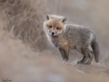 04-Avril_5PL0968-copie-2