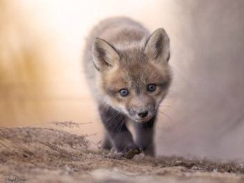 05-Mai_5PL7579-copie-2