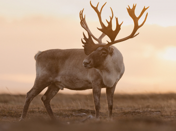 5TN7820-Modifier-copie-2