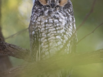 02I8129-Modifier-Modifier