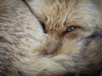 5PM3669-Avec-accentuation-Modifier-Modifier