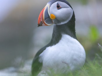 5TN7813-Modifier-copie