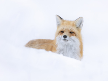 DB_6867-Modifier-Modifier-Modifier