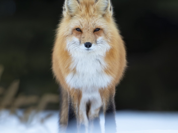 DB_6924-Modifierinsta-Modifier-Modifier-2