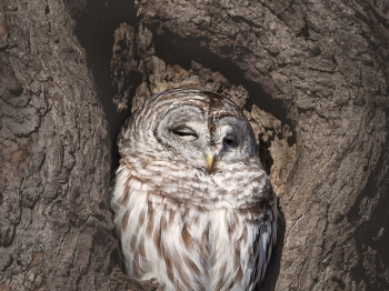 DB_6834-Modifier-Modifier-copie