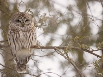 079A0468-Modifier-copie