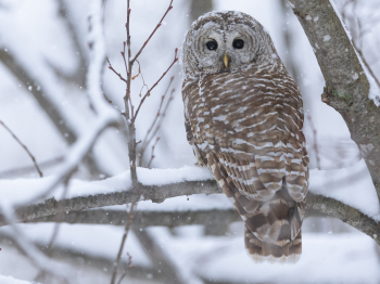 1_5TN0341-Modifier-copie-2