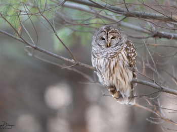 5TN8997-Modifier-copie-2