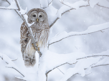 5TN9782-Modifier-2-copie-2