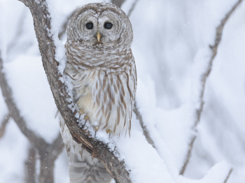 5TN9876-Modifier-copie-2