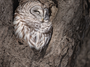 DB_6546-Modifier-Modifier-copie