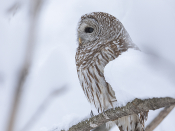 5TN0212-Modifier-copie-2