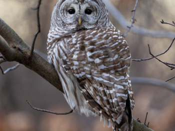 5TN8405-Modifier-copie-2