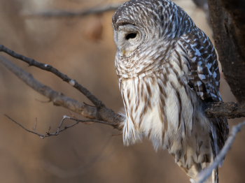 5TN9416-Modifier-copie-2