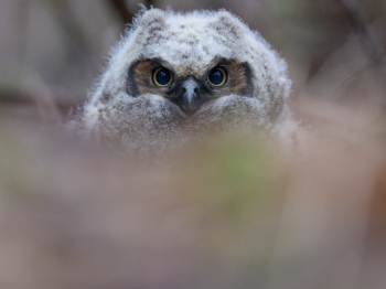 B246789-Modifier-copie-2