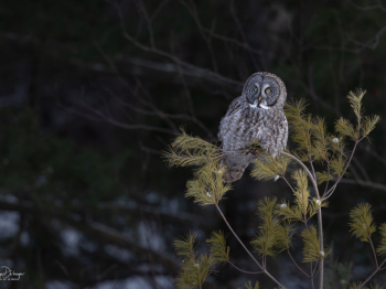 B244170-Modifier-copie-2