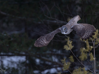 B244180-Modifier-copie-2