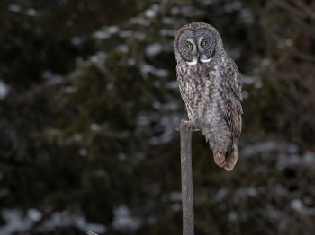 B244425-Modifier-copie-2