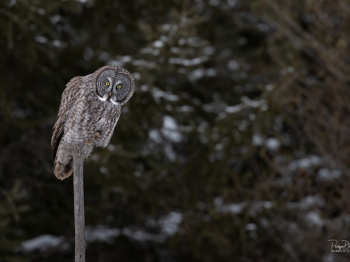 B244946-Modifier-copie-2