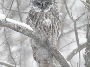 DB_5914-Modifier-copie