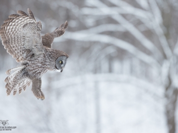 _DXP6647-Modifier copie