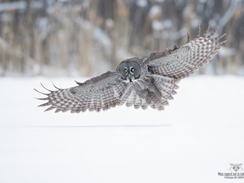 _DXP7457-Modifier copie