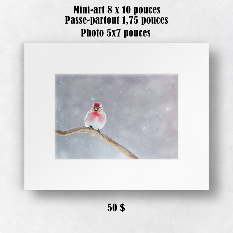 Mini-art-paysage-8x10-copie