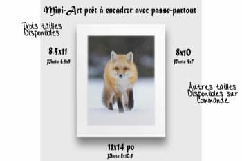 Mini-art-copie Mini-art-copie