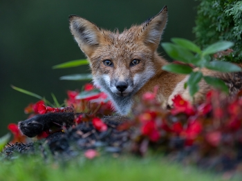 5PH0943-Modifier-copie-2