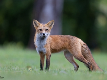 5PH1123-2-Modifier-copie-3