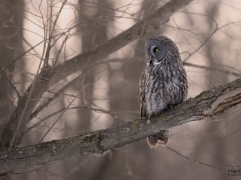 5PH3846-Modifier-copie