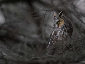 DB_6504-Modifier-copie