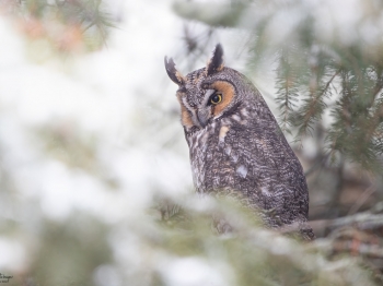 DB_7324-Modifier-copie