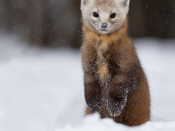 B240702-Modifier-Modifier-copie-2