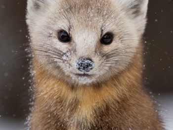 B240702-Modifier-Modifier-copie-3