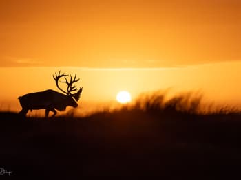 B242079-3-Modifier-copie