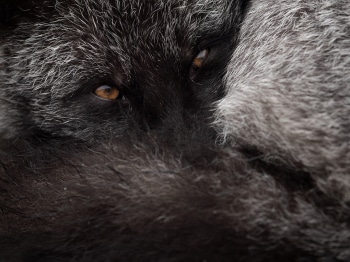 B242467-Modifier-copie