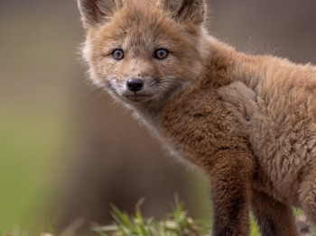 B242503-Modif2ier-2-copie-2