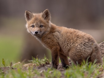 B242503-Modifier-2-copie-2