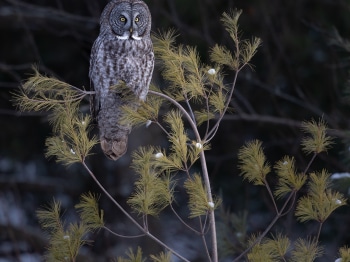 B244138-Modifier-copie-2