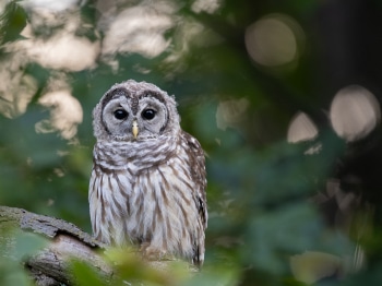 B244799-Modifier-copie-2