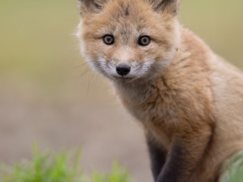 B246473-Modifier-copie-2-2